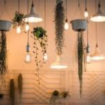 Lamp & Lighting